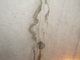 wall-stains-21